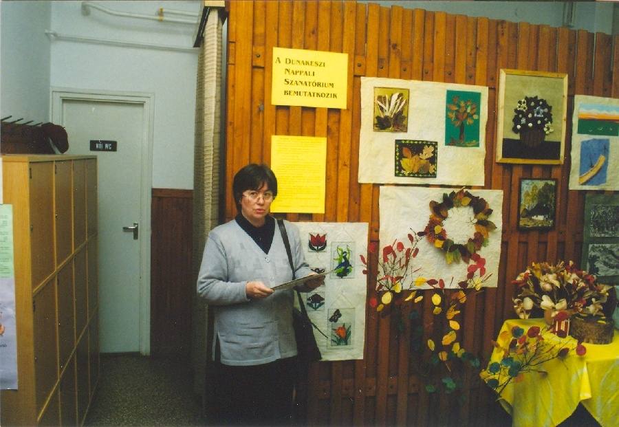 A Dunakeszi Nappali Szanatórium kiállítása
