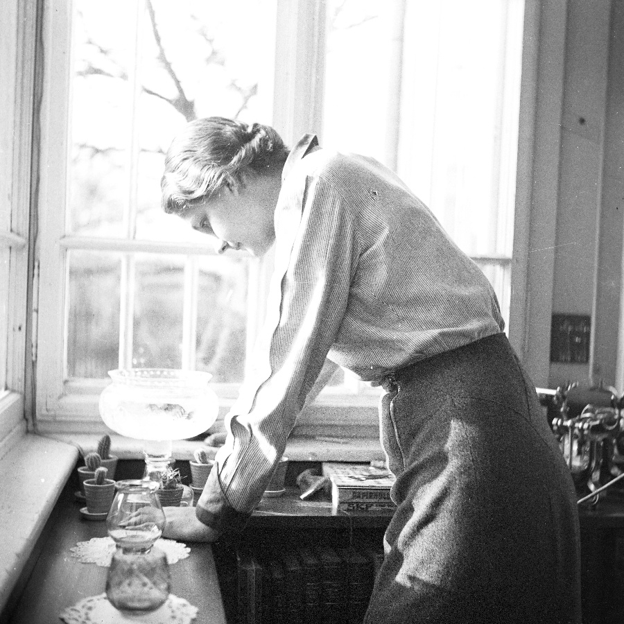 Petanovits Mária IV.