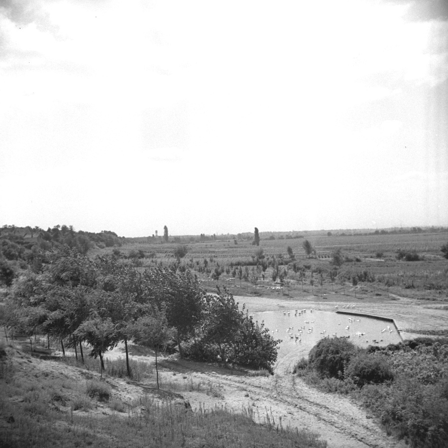 Dunakeszi Folyópart