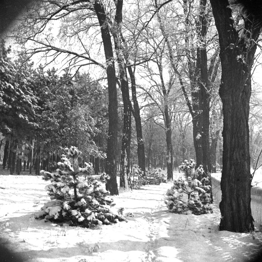 Alagi pályrész télen