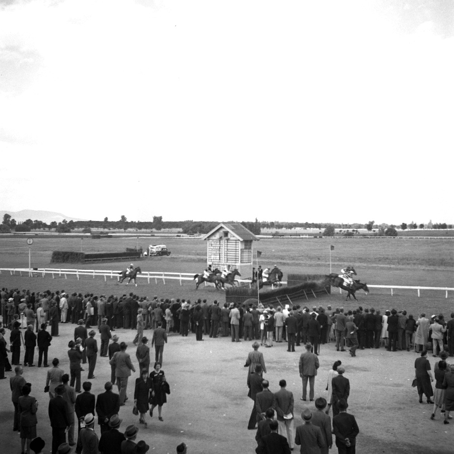 Megyeri versenytér III.