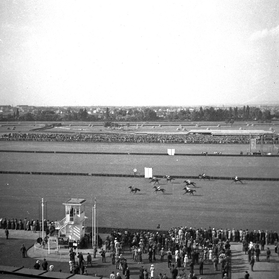 A pesti lóversenypálya III.