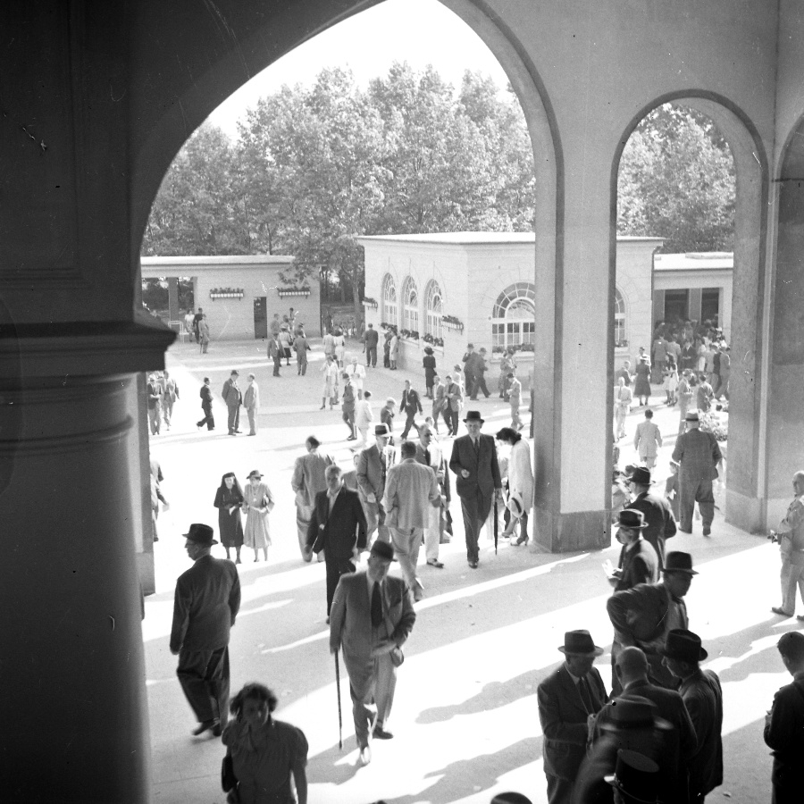 A pesti lóversenypálya V.