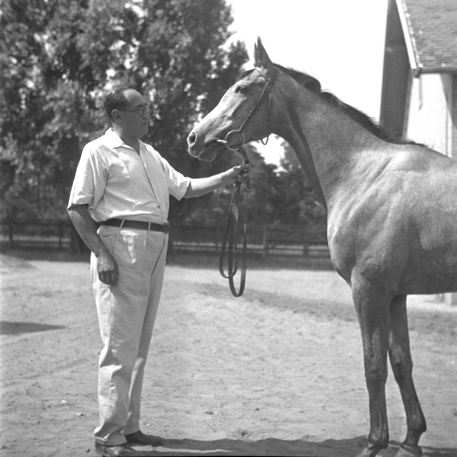 Egyetlen és Petanovits