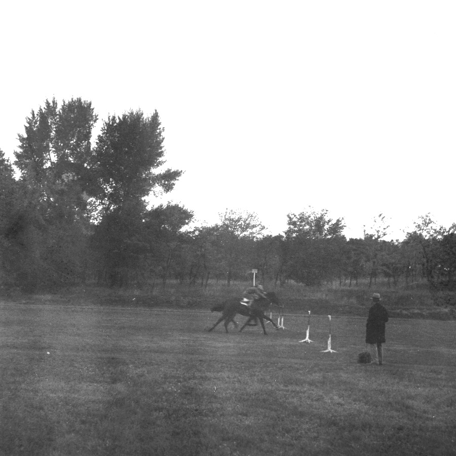 Dankó-Dugó befutó