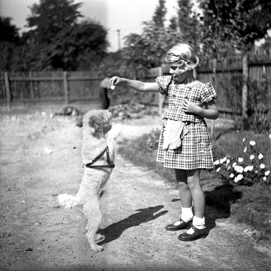 Pethő Kati Fritzivel II.