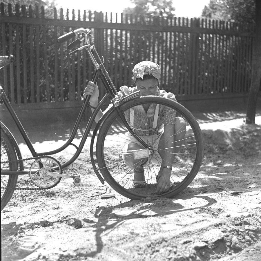 Petanovits Mária VIII.