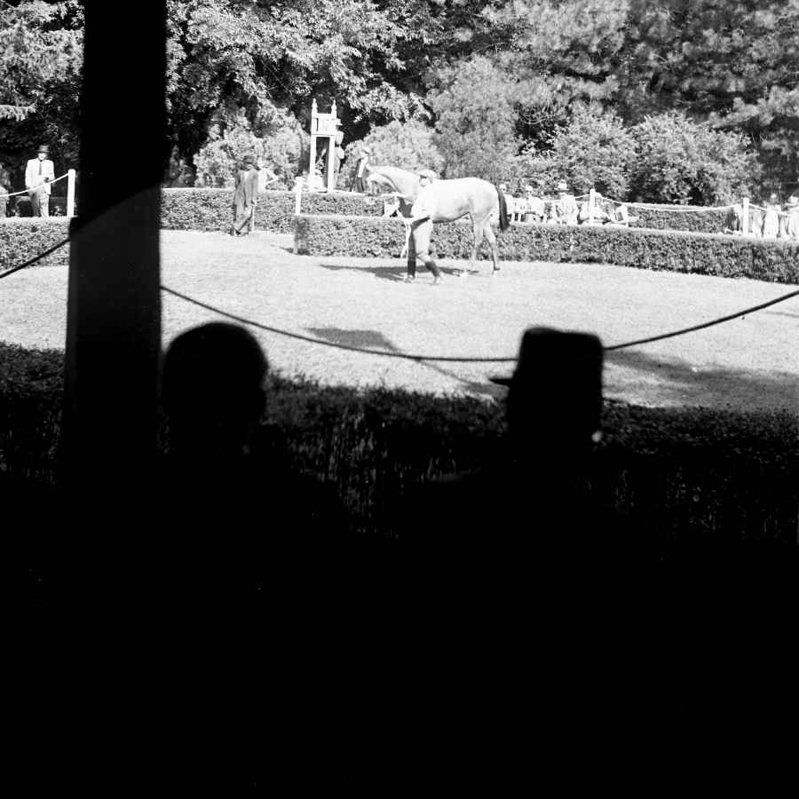 Csikóárverés Alagon