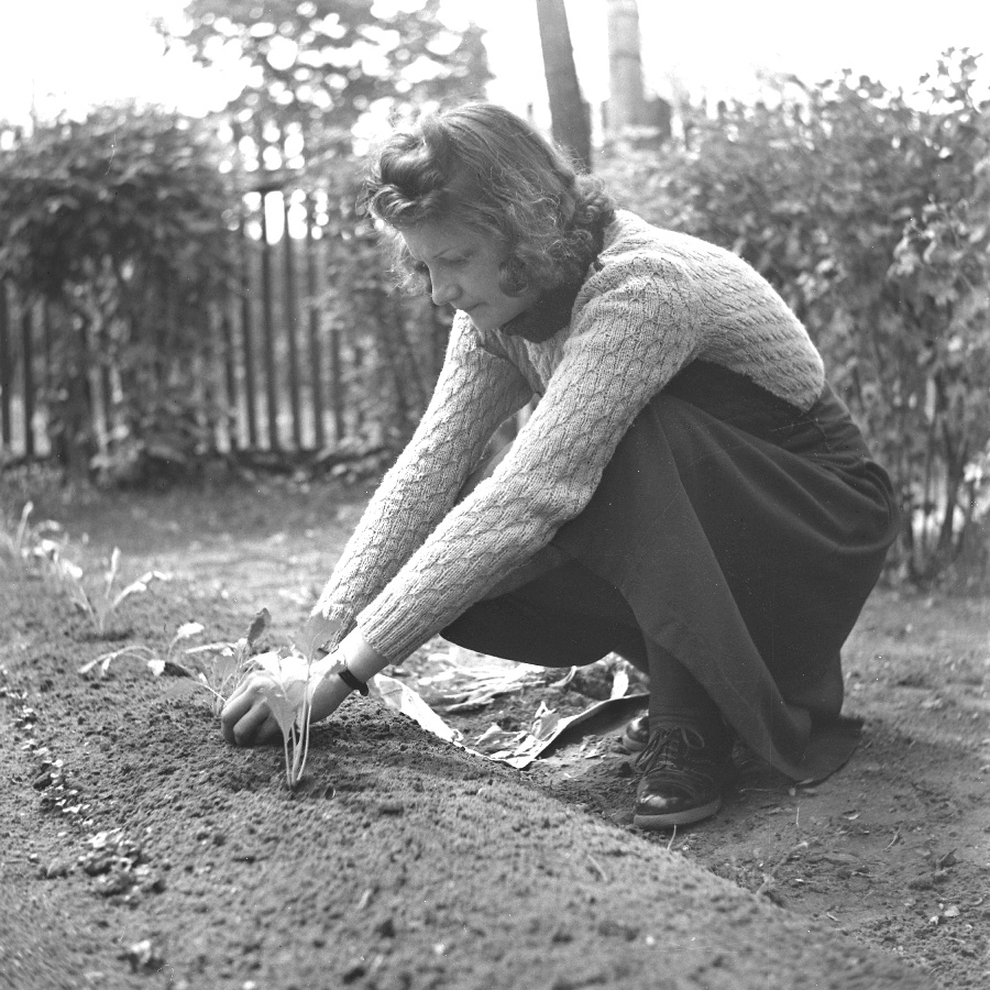 Petanovits Mária XIII.