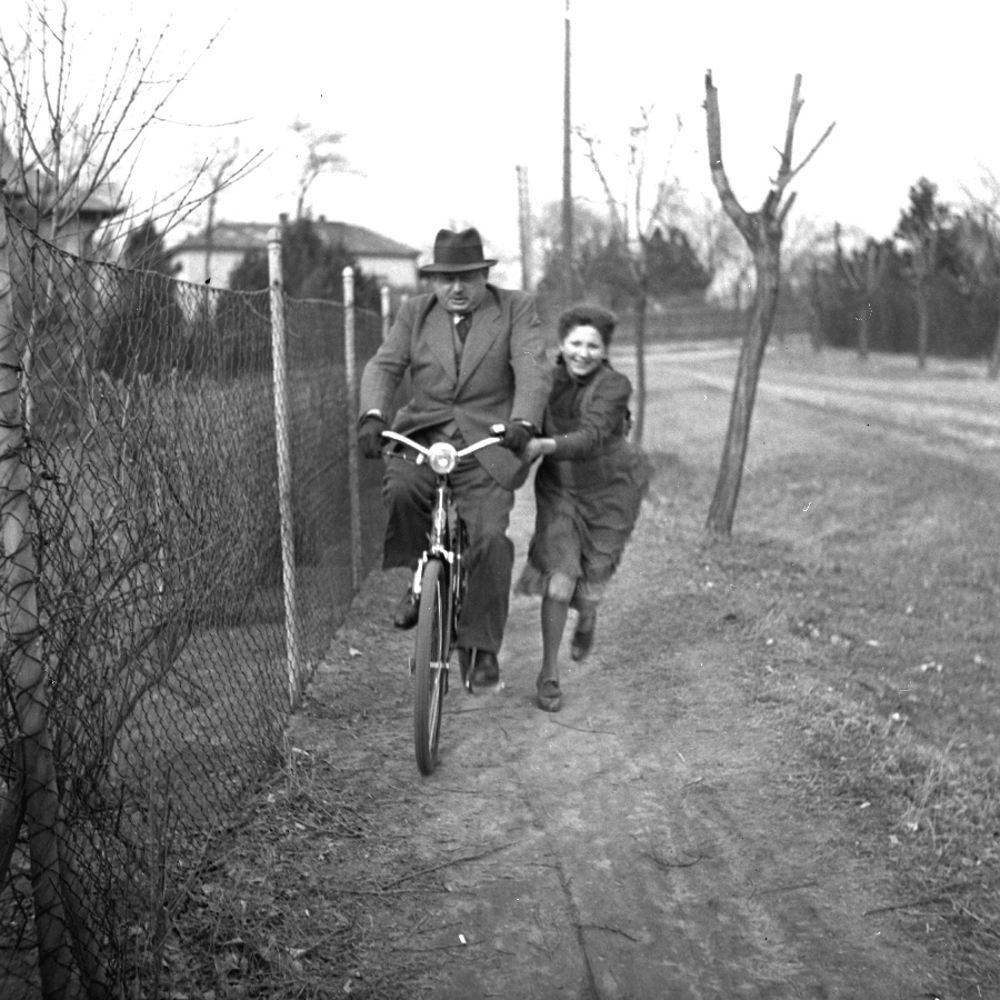 Pethő József állatorvos