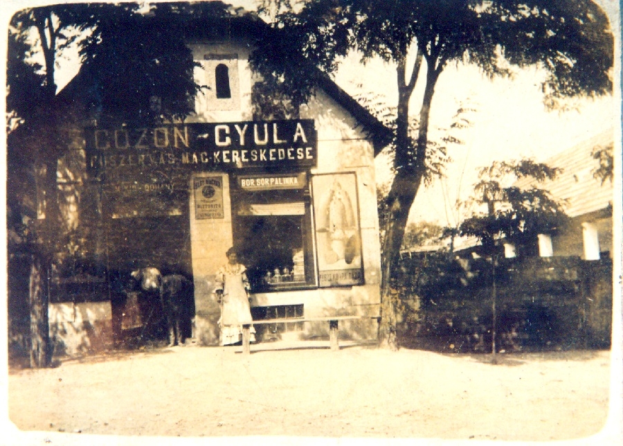 Id. Gózon Gyula fűszer- és magkereskedése