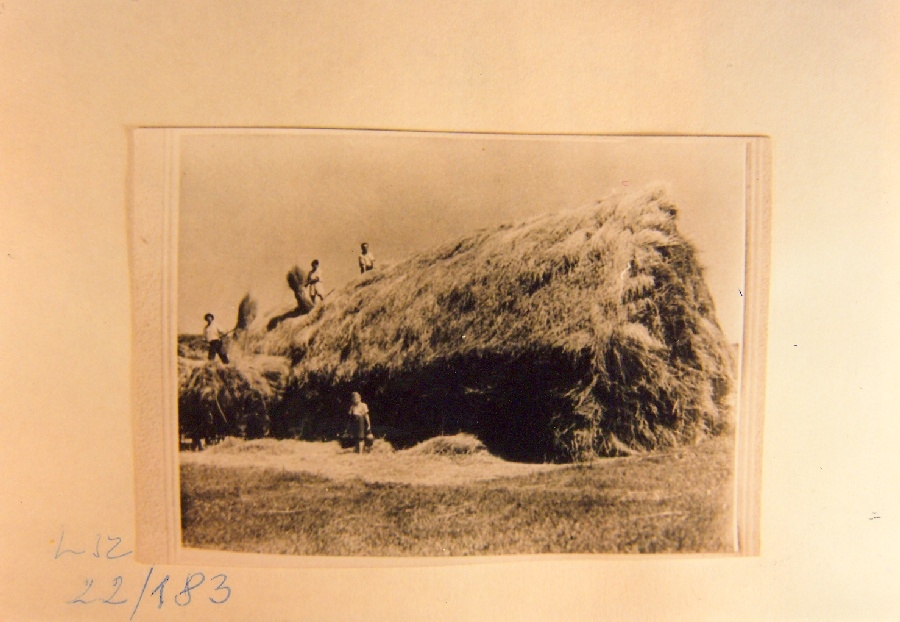 Kazal a szérűskertben