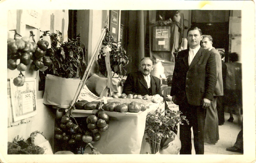 Budapesti kiállításon a dunakeszi paradicsom