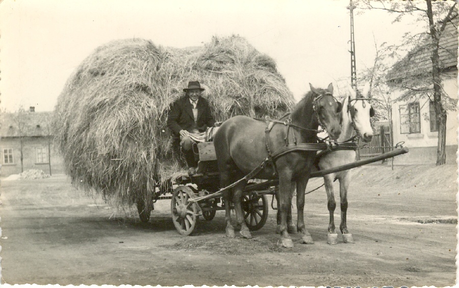 Szénásszekér hazafelé