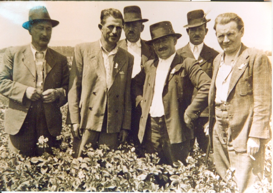 Ezüstkalászos gazdák