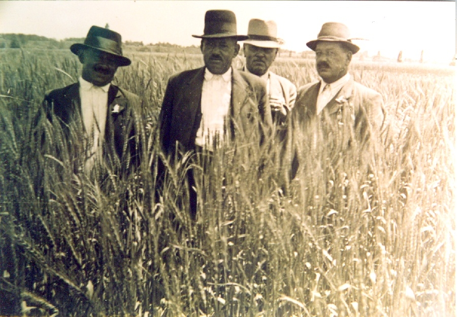 Ezüstkalászos tanfolyamot végző gazdák