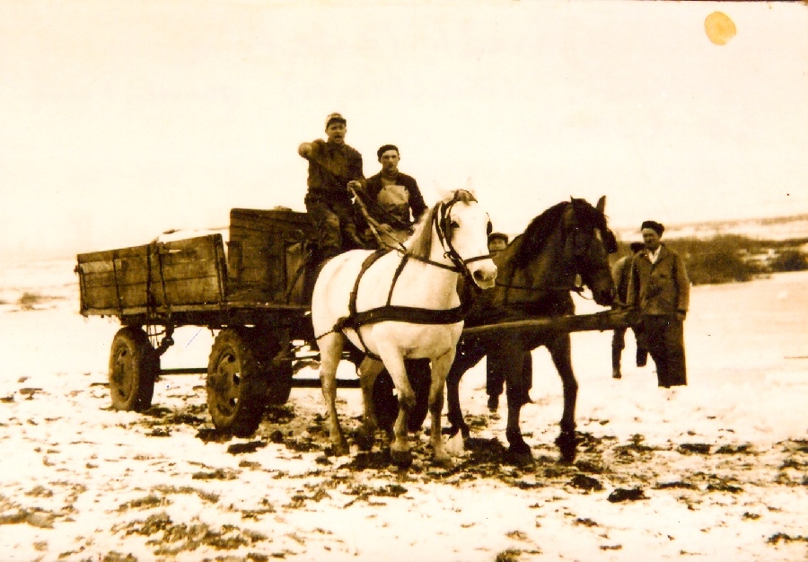 A jéghasábok fuvarozása