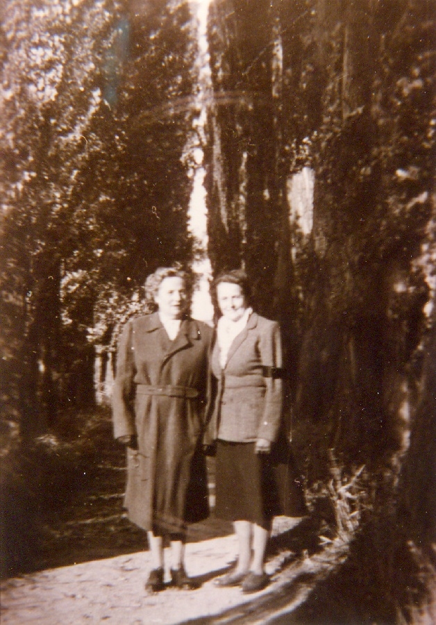 A Strandra vezető út