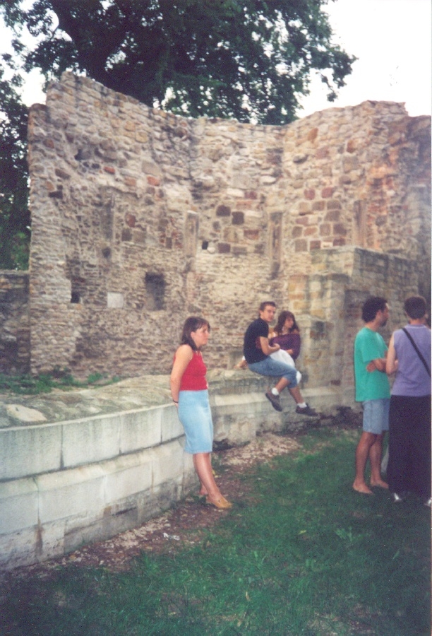 Templomrom megtekintése az alagi majorban