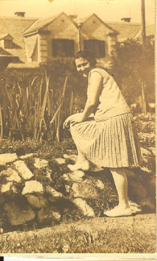 MÁV lakótelep parkja