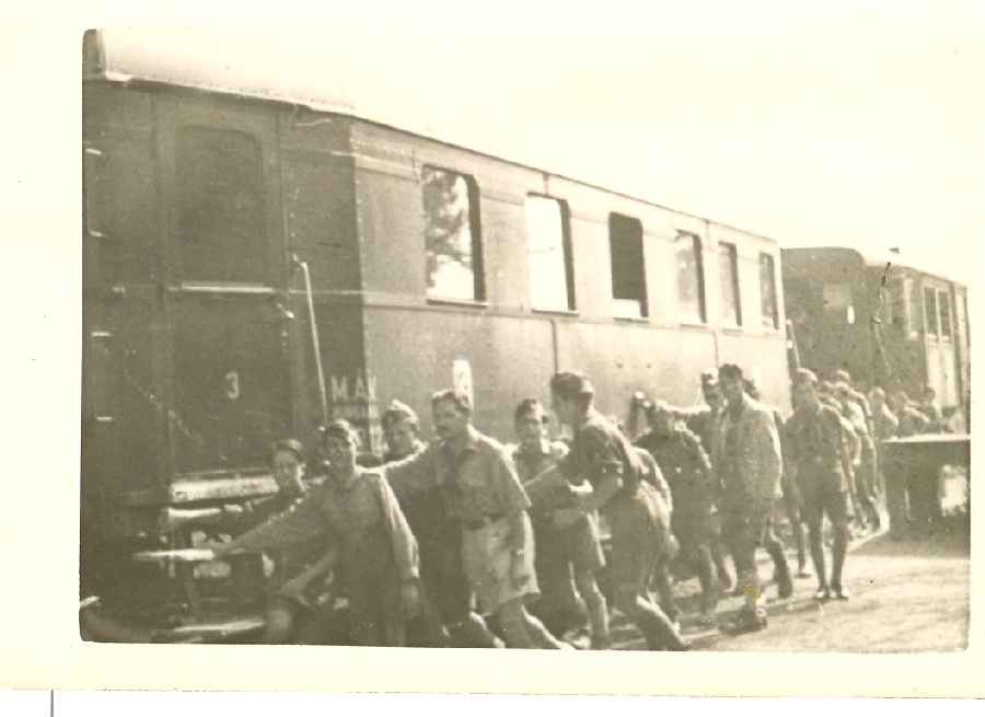 109. számú Magyarság Cserkésztábor