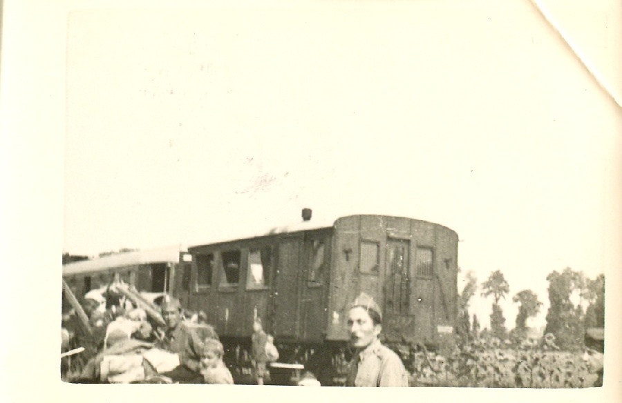 109. számú Magyarság Cserkésztábor