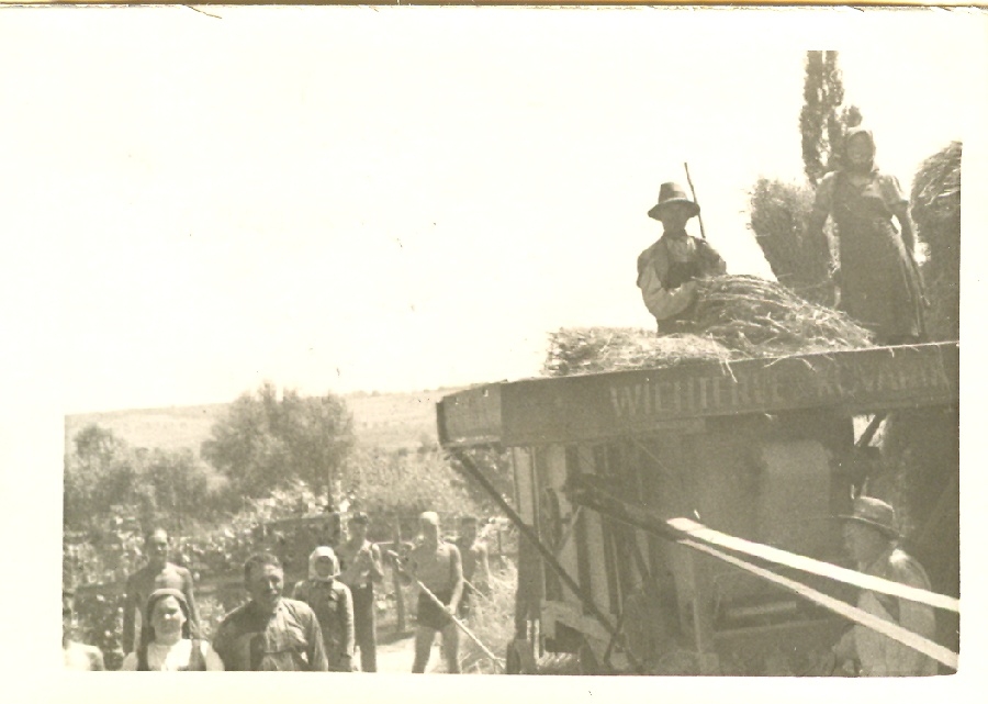 109. számú Magyarság Cserkésztábor