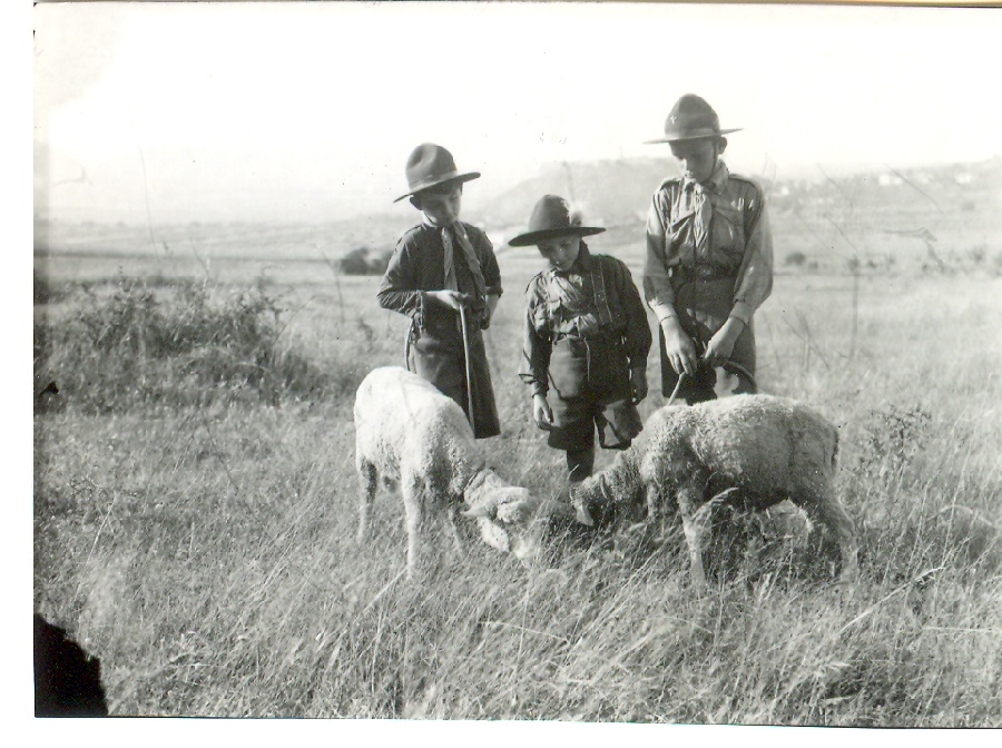 109. számú Magyarság Cserkésztábor