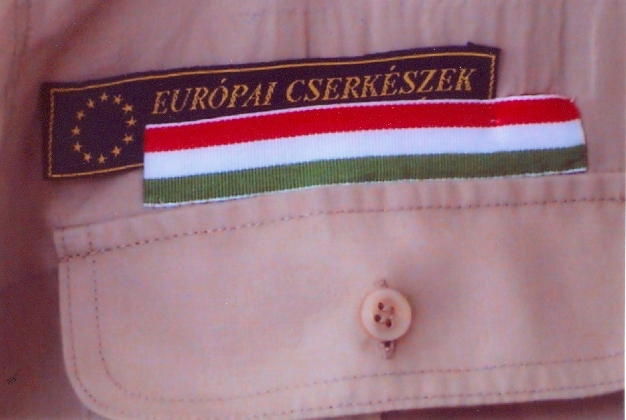 Európai cserkészet, Ifjúsági mozgalom