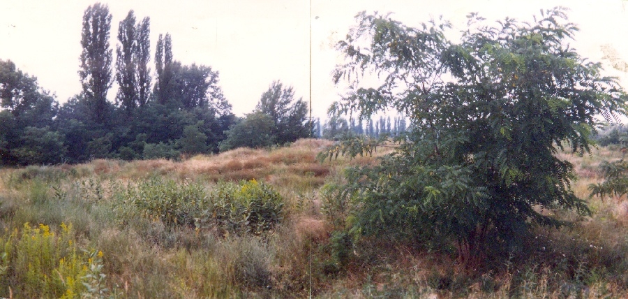 Duna-parti lakótelep terve