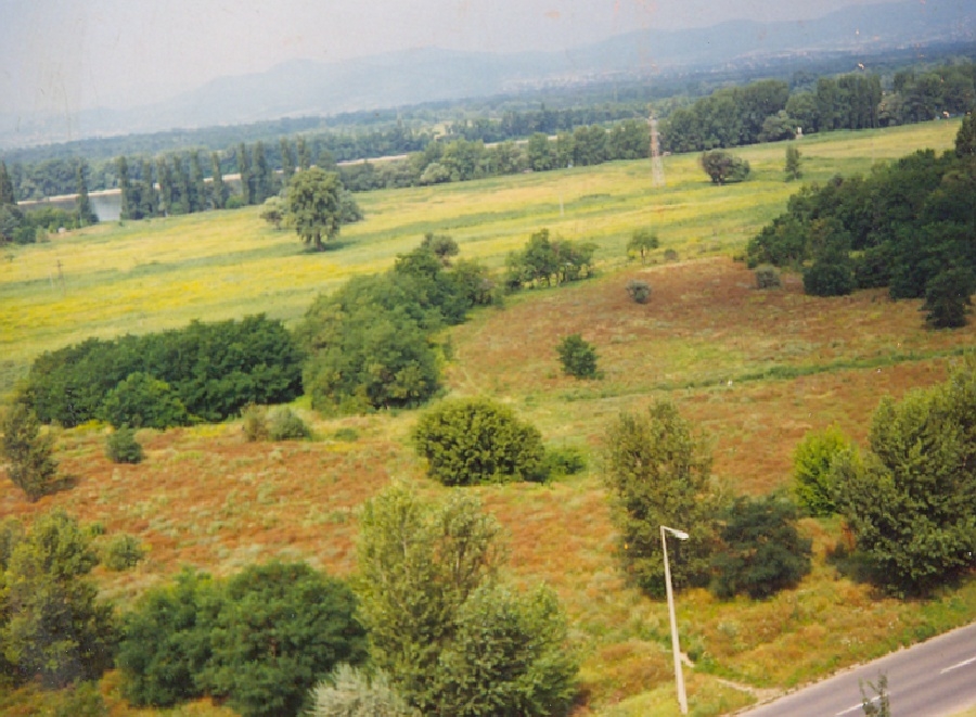 Duna-parti lakótelep terve