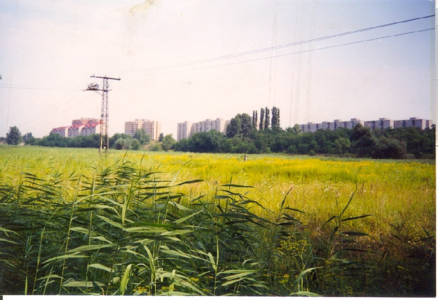 Duna-parti lakótelep terve