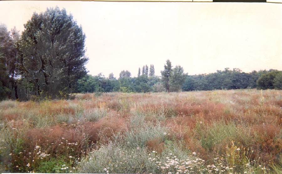 Duna-parti lakótelep terve