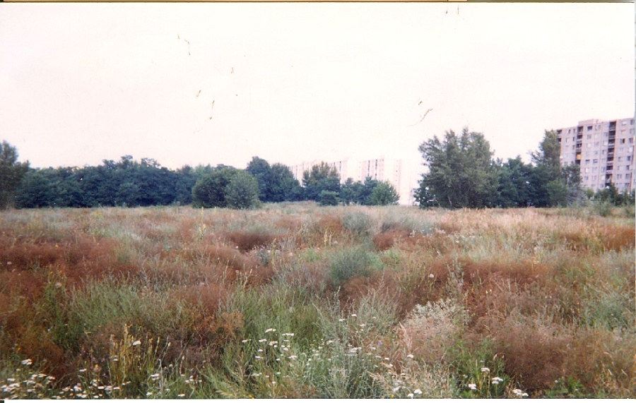 Duna-parti lakótelep terve