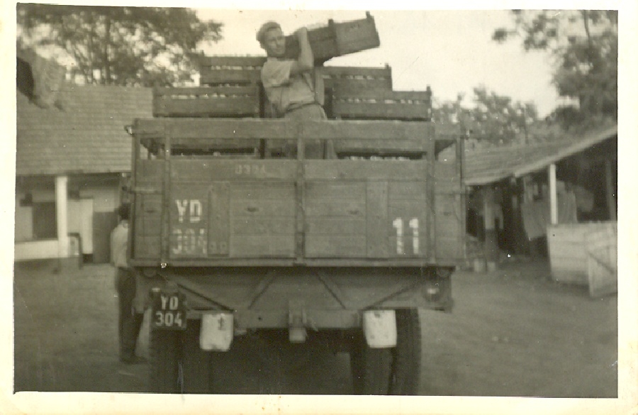 Gyümölcsszállító autó