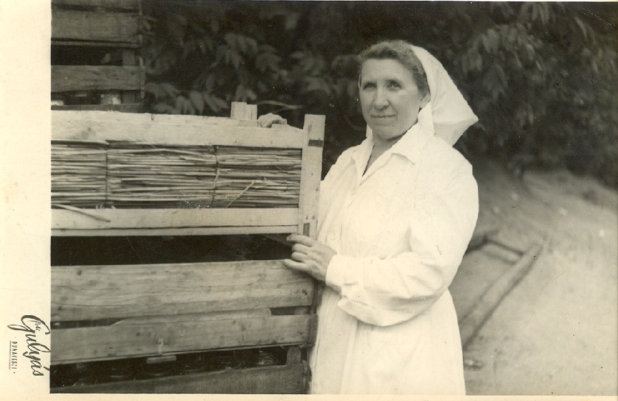 Konzervgyári munkás