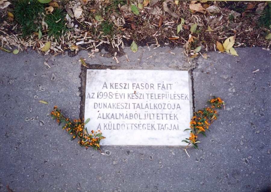 Keszi fasor emléktábla