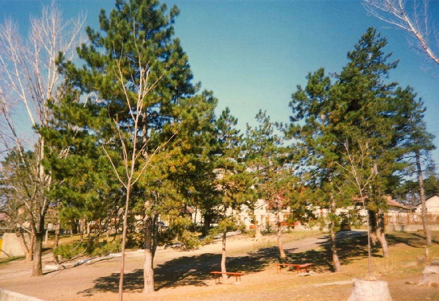 Széchenyi István Általános Iskola