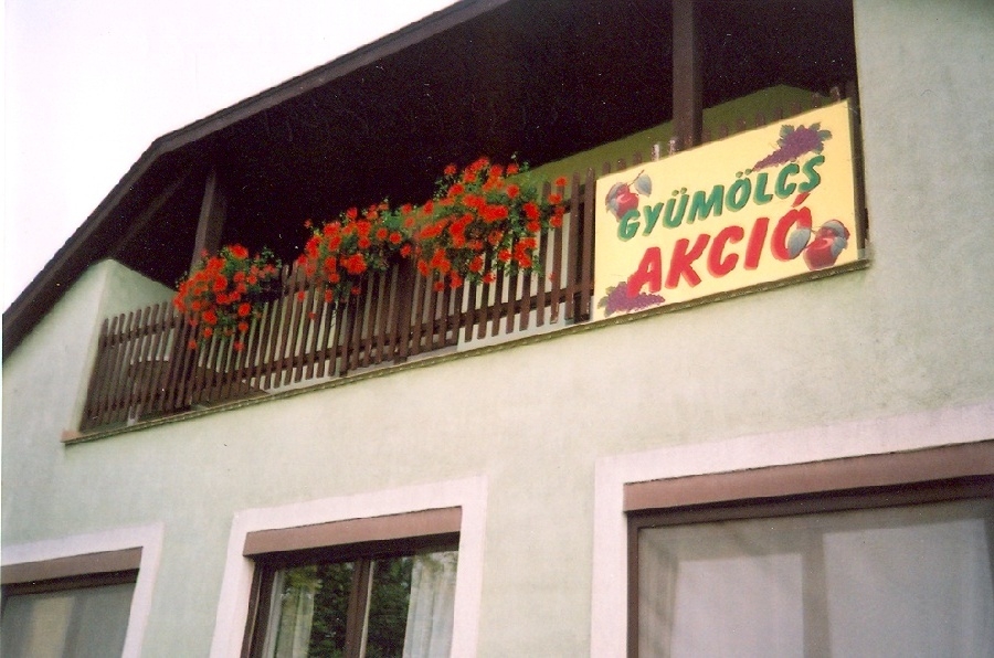 Guttmann Vilmos háza