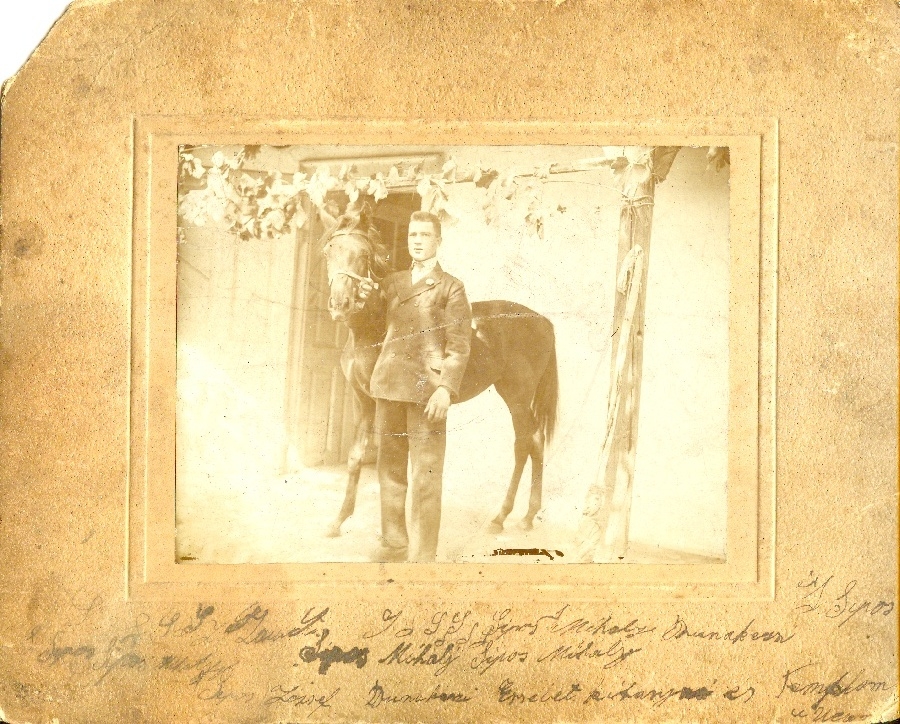 Gazdálkodó, lótulajdonos