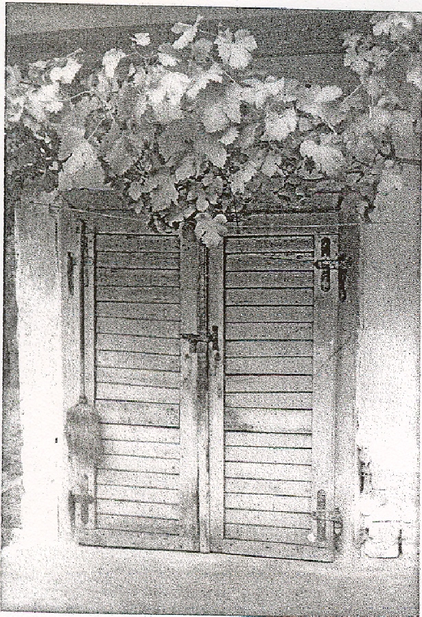 Dunakeszi pinceajtó