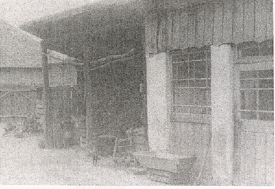 Dunakeszi nyári konyha