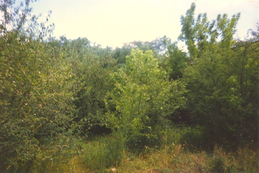 Mihalik által épített villa helye